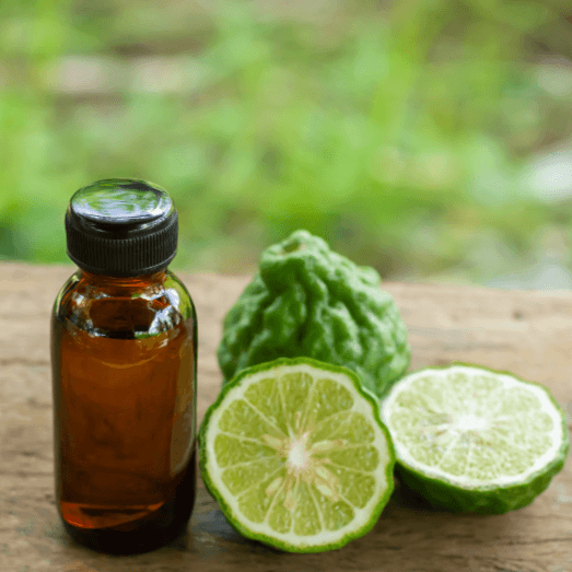 Bergamotte Pflanze, Gewinnung und Verwendung ätherisches Bergamotte Öl